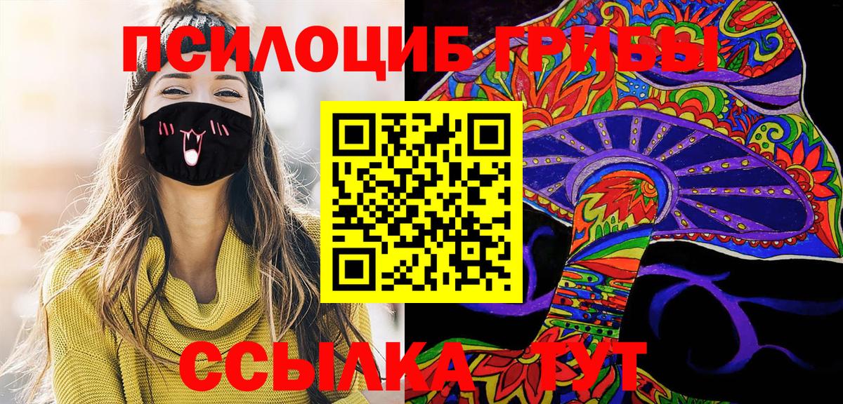 Гусев  Псилоцибиновые грибы MAGIC MUSHROOMS  Вход с VPN 